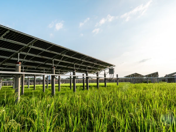 hydroseeding solar farm
