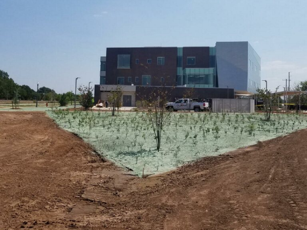 native land hydroseeding commercial building landscape project