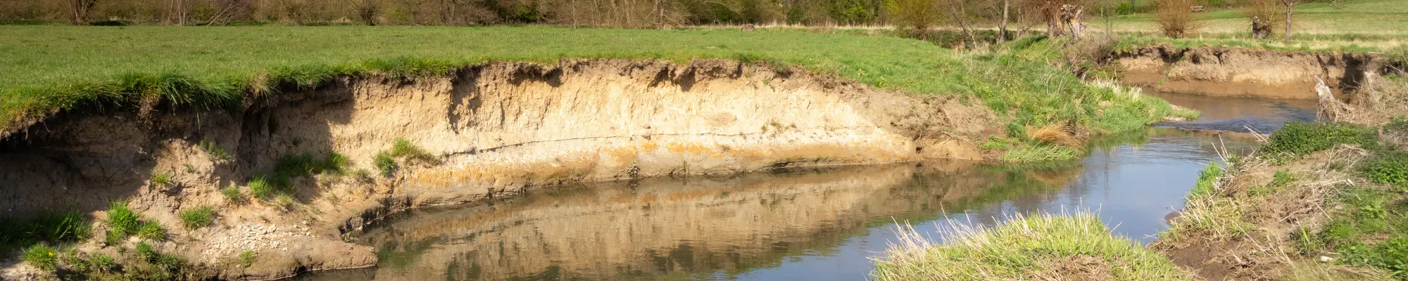 Eroded streambank and exposed soil beside a waterway